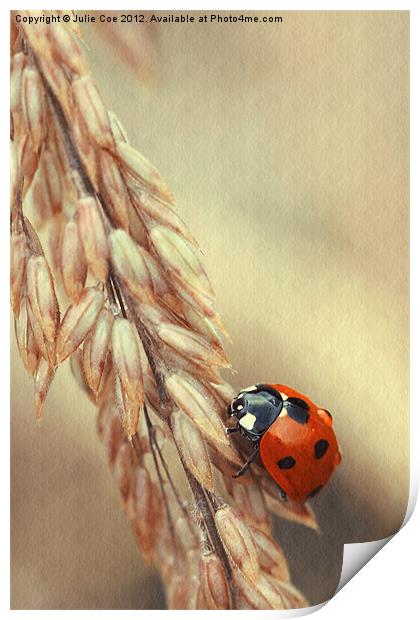 7 Spotted Ladybird Print by Julie Coe