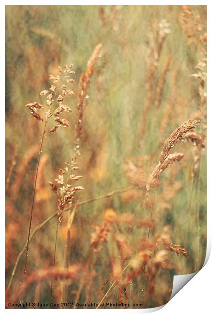 Meadow Grasses Print by Julie Coe