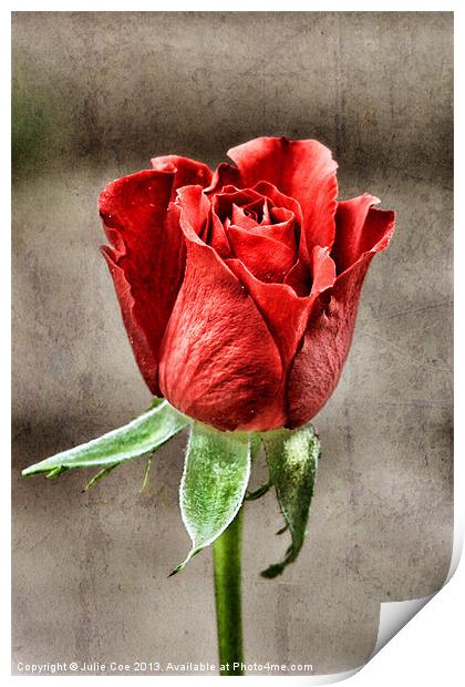 Red Rose Red Print by Julie Coe