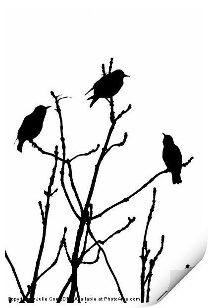 Black Birds on White Print by Julie Coe