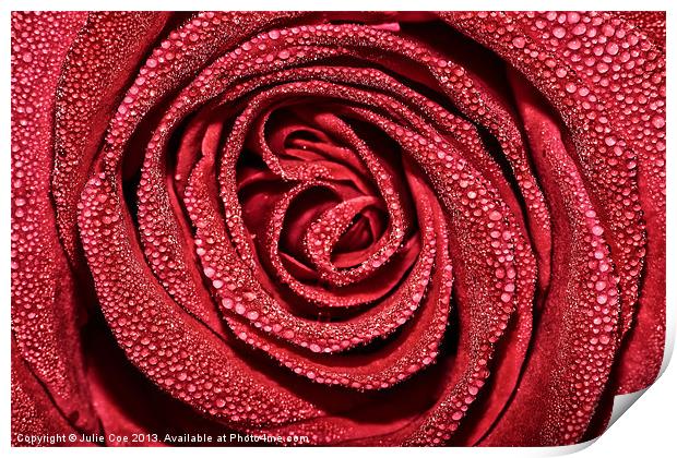 Raindrop Rose Print by Julie Coe