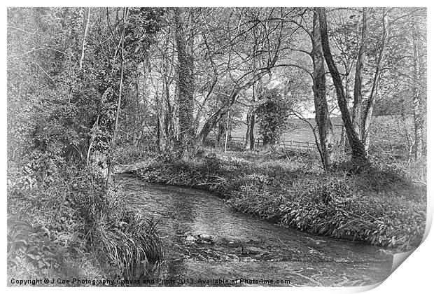 Down By The River BW Print by Julie Coe