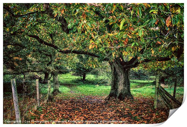 Underneath The Chestnut Tree Print by Julie Coe
