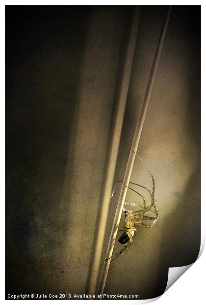 Stretch Spider Print by Julie Coe