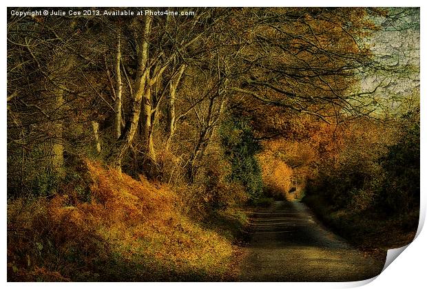 To Little Barningham 3 Print by Julie Coe