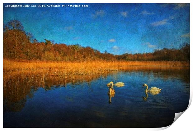 Swans At Selbrigg 2 Print by Julie Coe