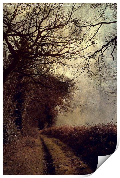 Dark Lane Print by Julie Coe