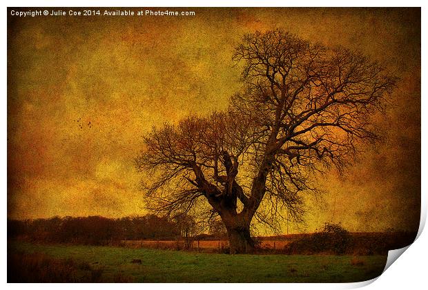 Tree In A Field! Print by Julie Coe