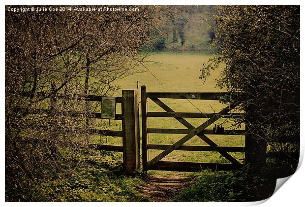 Gate To Bunkers 2 Print by Julie Coe