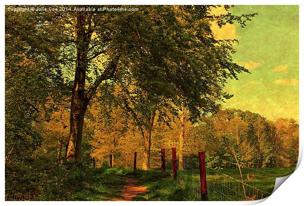 Blickling Woods, Norfolk 2 Print by Julie Coe