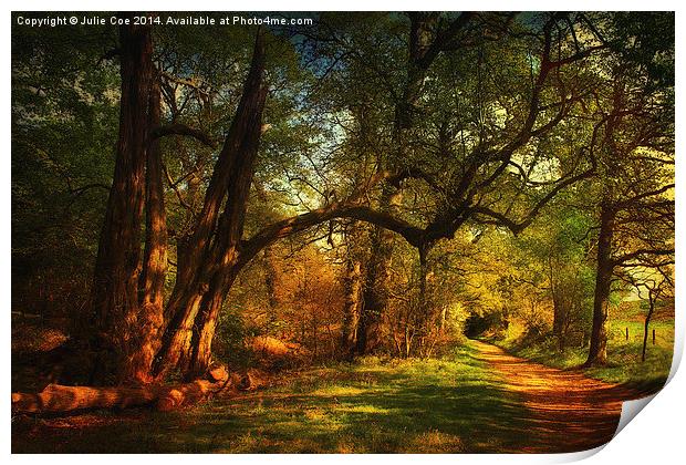 Beautiful Blickling Print by Julie Coe