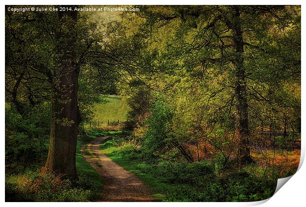 Blickling, Norfolk 9 Print by Julie Coe