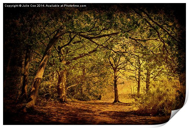 Holt Country Park 8 Print by Julie Coe