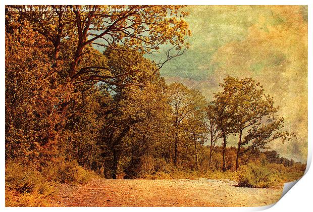 Holt Country Park 13 Print by Julie Coe