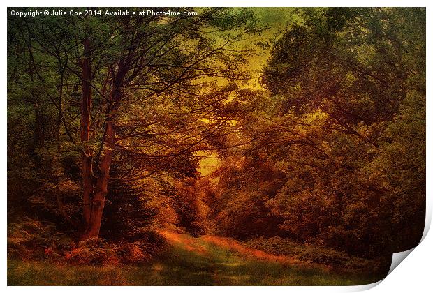 Blickling Woods 17 Print by Julie Coe