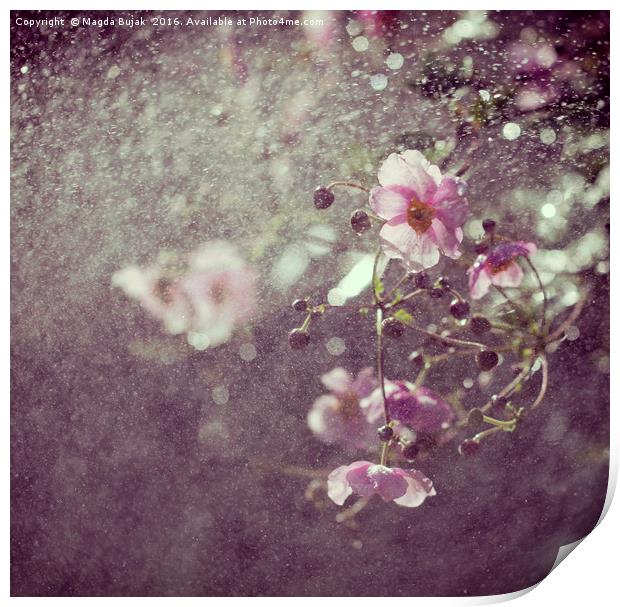 Pink anemone in the rain Print by Magdalena Bujak