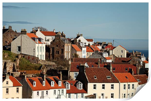 Pittenweem Roofs Print by Andrew Beveridge