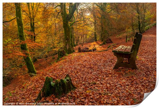 Autumn in the Woods Print by Mark Pritchard