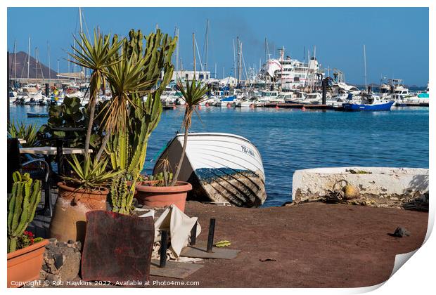 Cactus and Boats  Print by Rob Hawkins