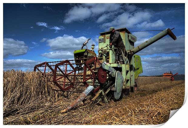 a touch of Claas Print by Rob Hawkins