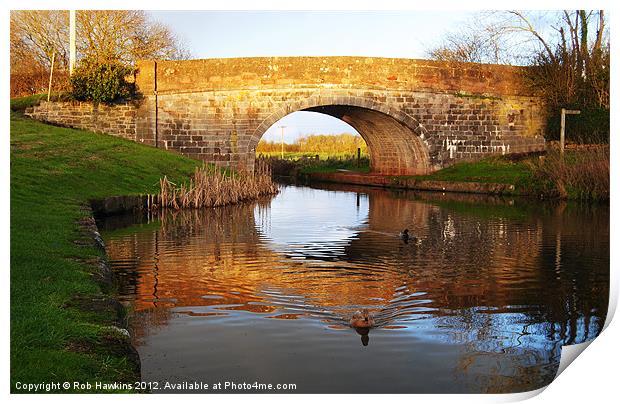 Winter sun on the canal Print by Rob Hawkins