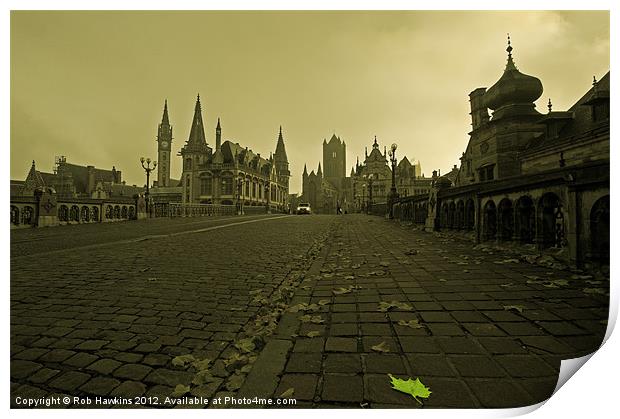 Leaf amongst the towers of Ghent Print by Rob Hawkins