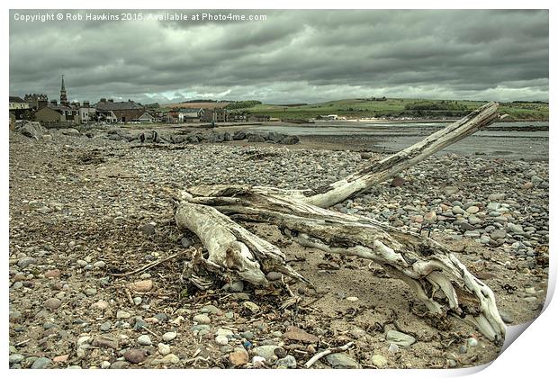  Stonehaven Driftwood Print by Rob Hawkins