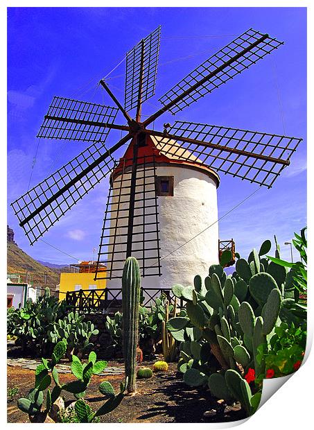 Tropical Windmill Print by Rob Hawkins