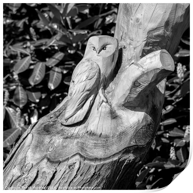 Tree Owl  Print by Rob Hawkins
