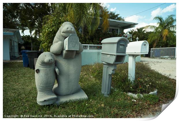 Manatee Mailbox  Print by Rob Hawkins