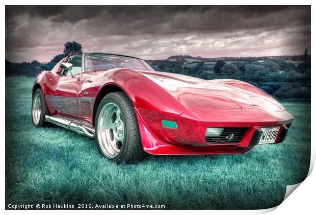 Red Stingray  Print by Rob Hawkins