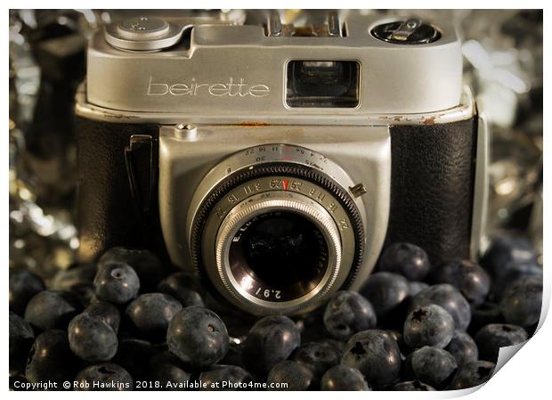 Blueberry Beirette Print by Rob Hawkins