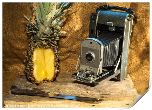 Polaroid and Pineapple  Print by Rob Hawkins