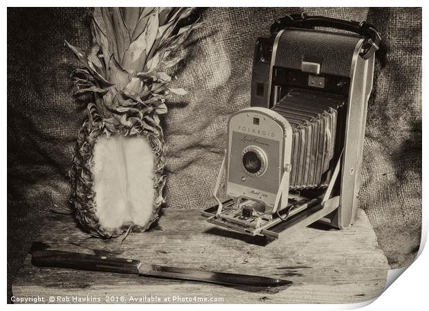 Pineapple Polaroid  Print by Rob Hawkins