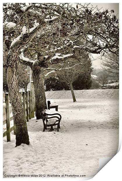 Winter Print by Alexia Miles