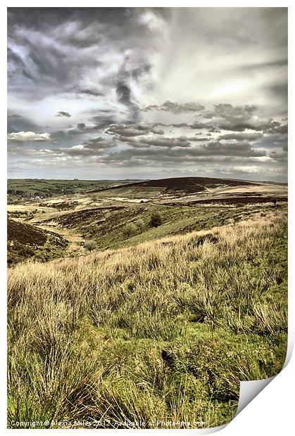 Exmoor View Print by Alexia Miles