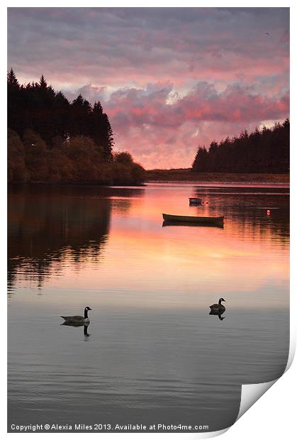 Sunset over the lake Print by Alexia Miles
