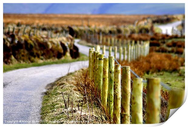 Exmoor Easter Print by Alexia Miles