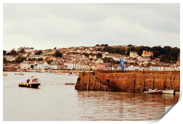 Instow Village Print by Alexia Miles