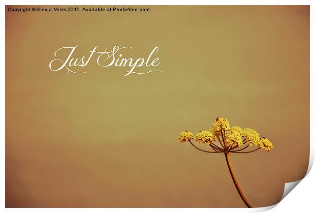  Just Simple Print by Alexia Miles