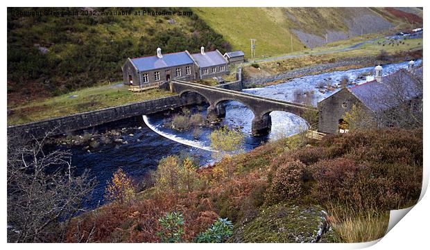 Old Bridge Print by les tobin