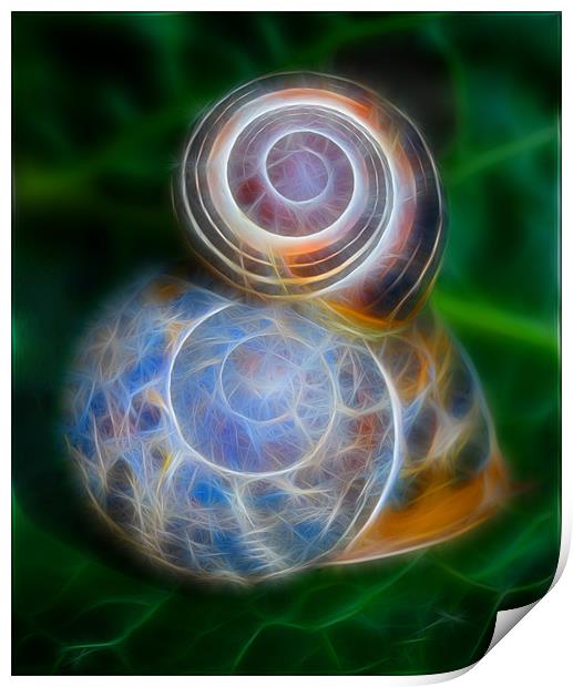 Electric Snails Print by Mike Sherman Photog