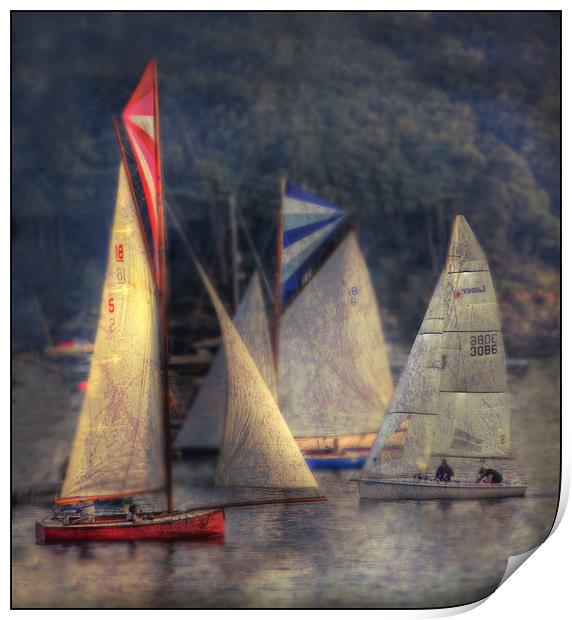 Sailing Print by Mike Sherman Photog