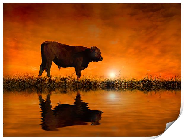 Into the Sunset Print by Mike Sherman Photog