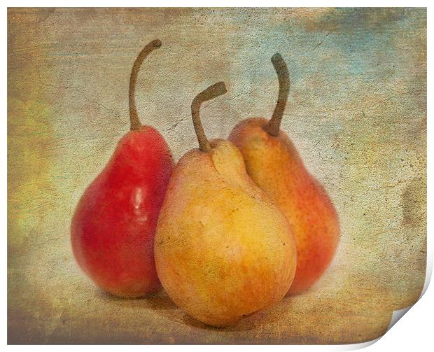 Pears Print by Mike Sherman Photog
