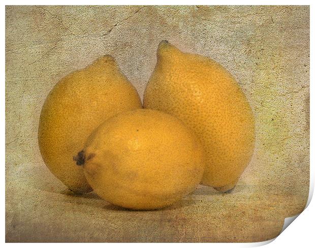 Lemons Print by Mike Sherman Photog