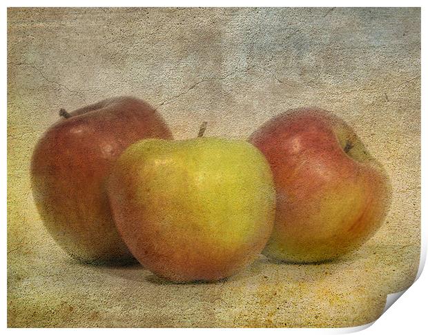 Apples Print by Mike Sherman Photog
