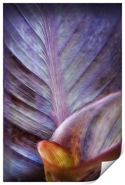 leaf Print by Mike Sherman Photog