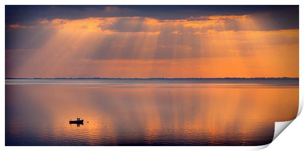  On Golden Pond Print by Mike Sherman Photog