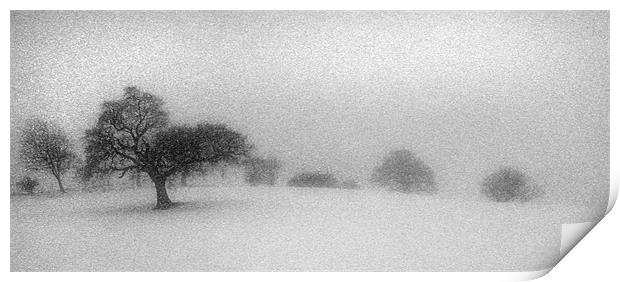 A Winters Scene Print by Mike Sherman Photog